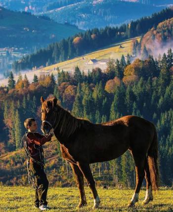 Вишиті  Карпати...