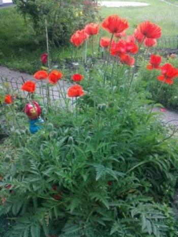 Філосояія кінця