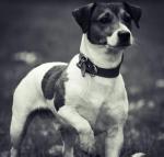 Тільки ти мене не покидай