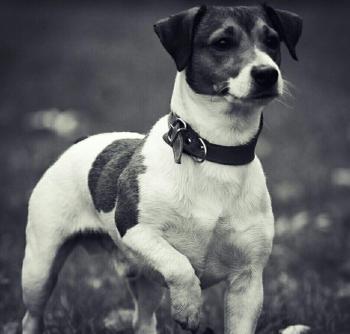 Тільки ти мене не покидай