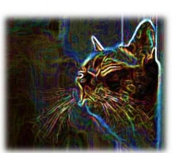 Киска Мурка