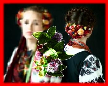 Відспівалась Радість…