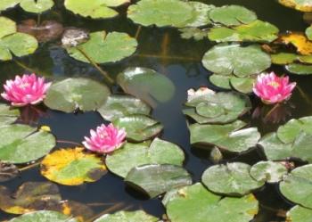 Забудемо смуток...