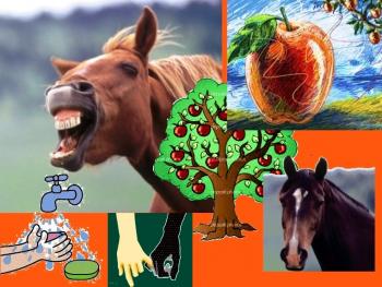 Навколофілософські гуморески