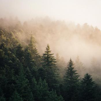 Я хочу трішки тиші