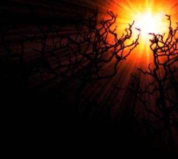 Готика Чорних Гілок