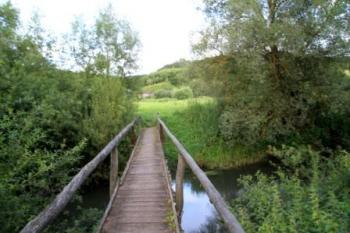 Щемна серцю мить