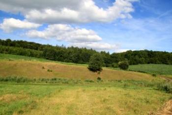 Літа́ розлуки