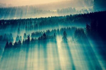 Літо завмирає