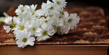 У кожному рядочку життя