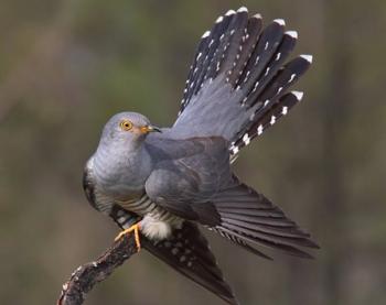 Без назви. Містичне