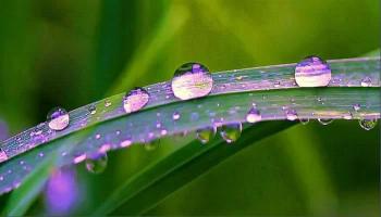 Стежка надії