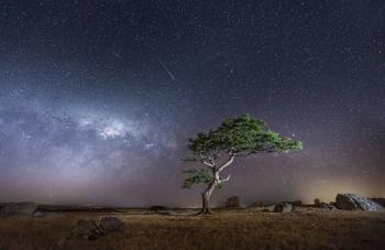 Відлітала Душа...