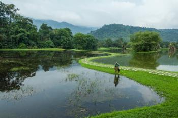 Мавко,  живи!