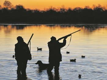 Полювання на качку