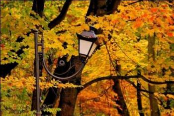 Львівська осінь