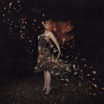 Лікеровий щем