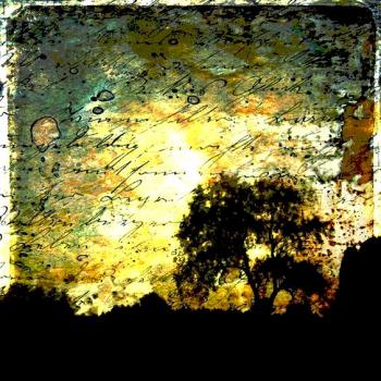 ...і спадає листя