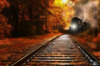 Осень в самом соку