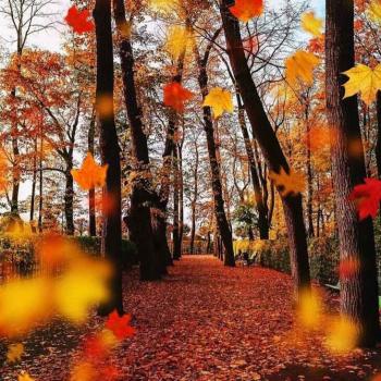 Барви осені