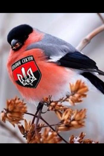 Вітання з Покровою