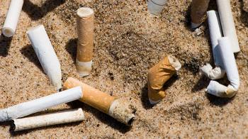 Бруд міжсезоння