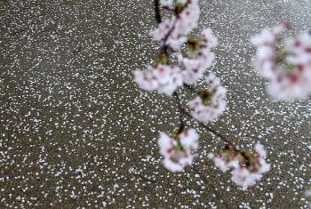 Щоб жити – вже не маю духу