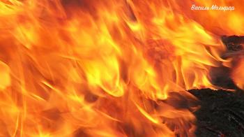 Майже задарма