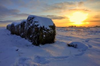 Полювання в Михайлів день