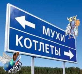 Котлети - окремо,  Мухи — окремо