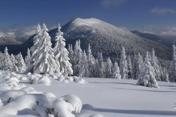 Важким повітрям забивало груди...
