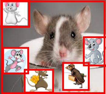 Дрібні сльози