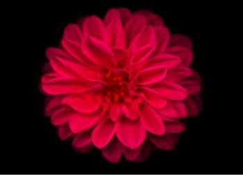 На честь Дня Народження Ганни Коназюк