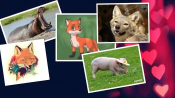 П`ятивірші-гуморески