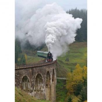 Горобці в супермаркеті