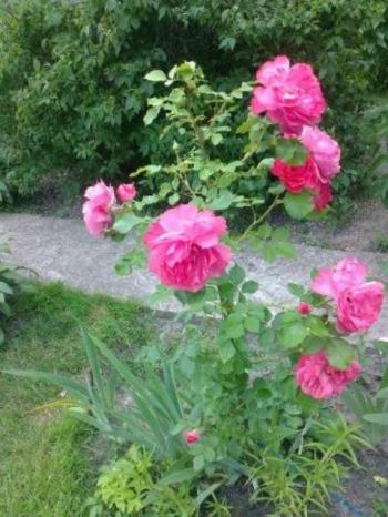 Тайны судьбы