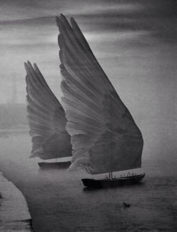 Навіть пташка із неба хоче додому