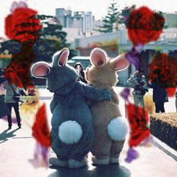 Верьте Любимым