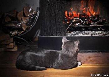 Вечори на хуторі біля Луцька