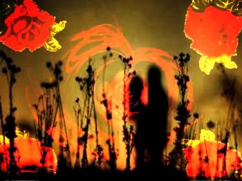 Життя Навкіс