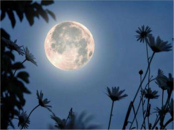 Крізь місячне сяйво