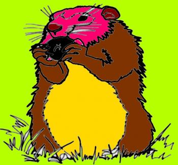 День Бабака