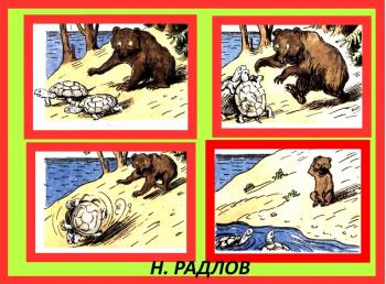 Черепахи і Ведмідь
