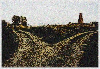 Два квітки в різні боки