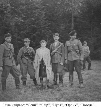 Таємниці лісу