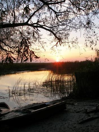 Как лета хочется...