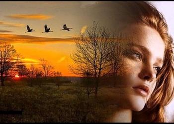 У пошуку тебе я...