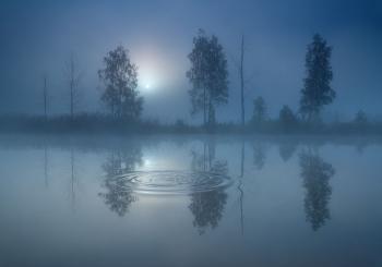 Зачерпнула нічка зорі у долоньки…