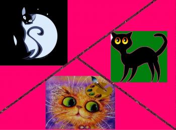 Шукати Кішку