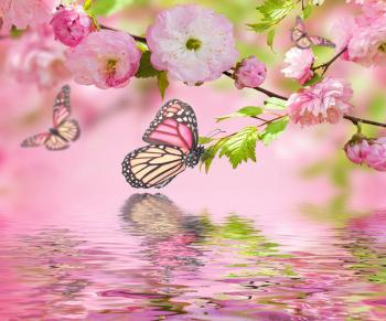 Весінній каприз